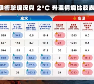 民團氣候衝擊調查 台南各指標均入榜