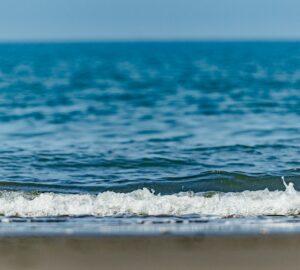 2026 Multicultural Co-Prosperity Volunteer Day: Inviting Migrant Workers, New Immigrants, and International Students to Clean the Beach and Protect the Ocean. photo/Unsplash