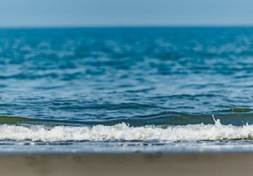 2026 Multicultural Co-Prosperity Volunteer Day: Inviting Migrant Workers, New Immigrants, and International Students to Clean the Beach and Protect the Ocean. photo/Unsplash