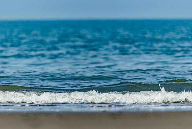 2026 Multicultural Co-Prosperity Volunteer Day: Inviting Migrant Workers, New Immigrants, and International Students to Clean the Beach and Protect the Ocean. photo/Unsplash
